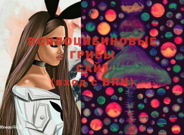 герыч Дмитриев