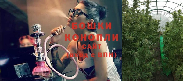 твердый Аркадак