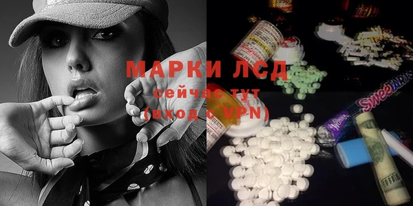 мяу мяу мука Арсеньев