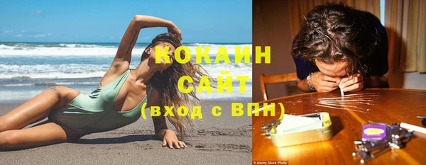твердый Аркадак