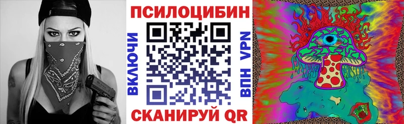 закладки  Новоалександровск  Псилоцибиновые грибы прущие грибы 