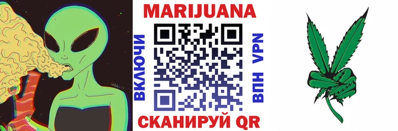 Каннабис сатива  Новоалександровск 